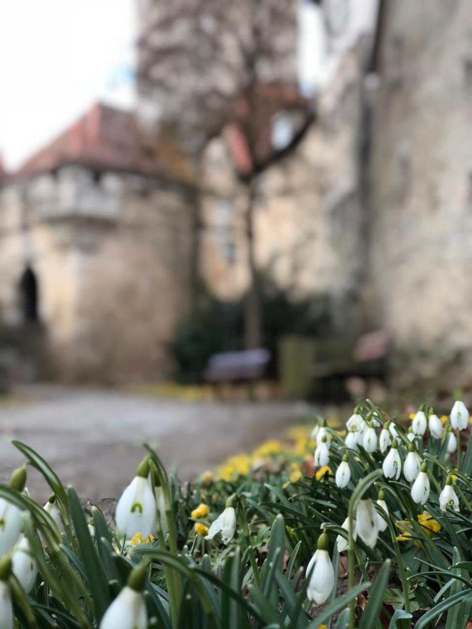 Gaestehaus Eberlein Rothenburg ob der Tauber Dış mekan fotoğraf
